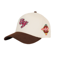 BROWN MONOGRAM CAP